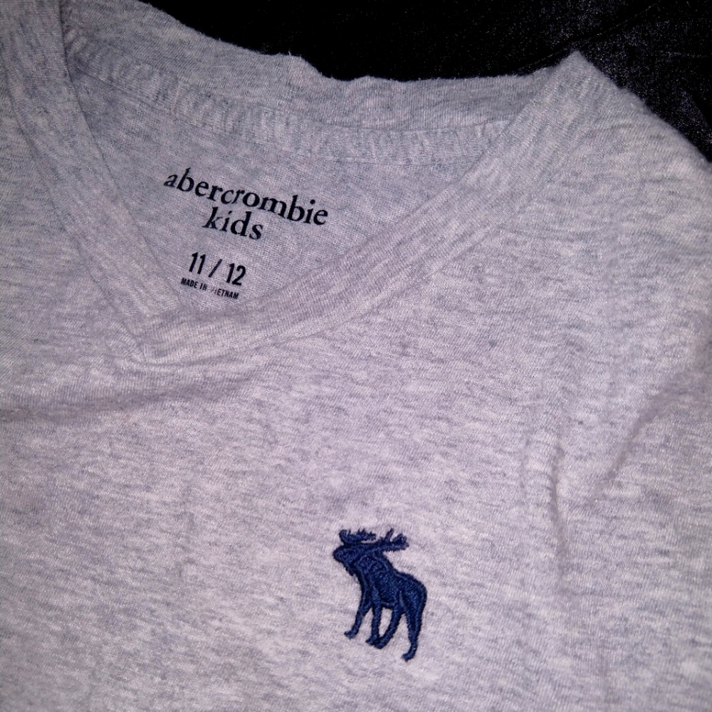 Abercrombie V-Neck Short Sleeve Gray Logo Moose Youth 11-12